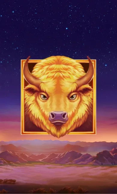 Buffalo's Sun 2